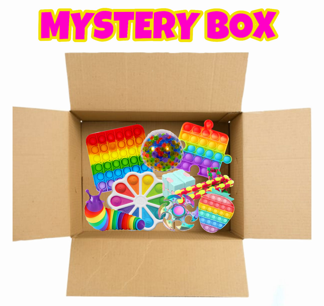 Large Mystery Fidget Toy Box