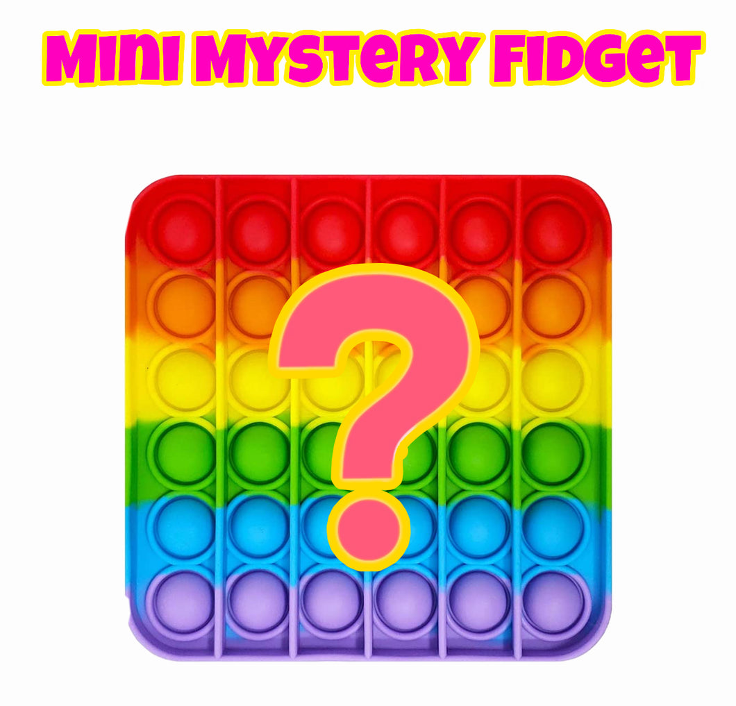 Mini Mystery Fidget